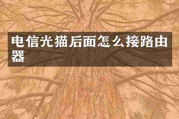 电信光猫后面怎么接路由器