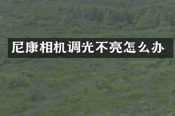 尼康相机调光不亮怎么办