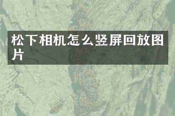 松下相机怎么竖屏回放图片