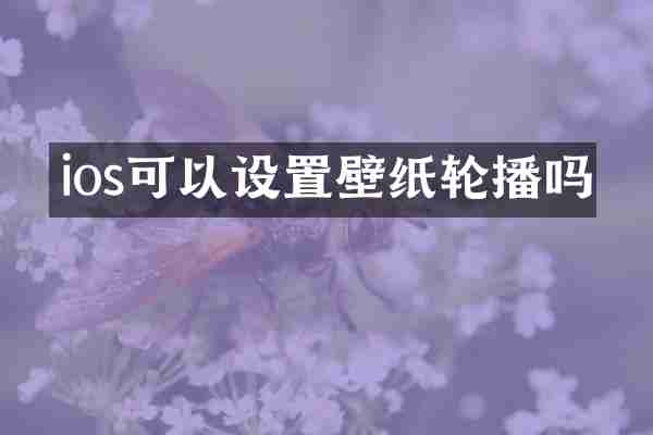 ios可以设置壁纸轮播吗