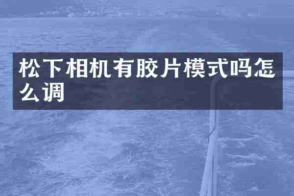 松下相机有胶片模式吗怎么调