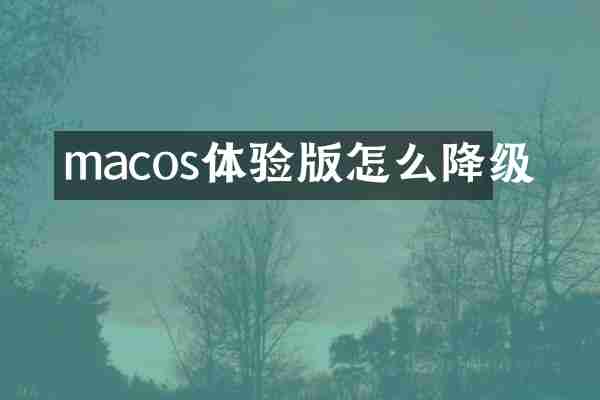 macos体验版怎么降级
