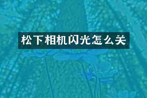 松下相机闪光怎么关