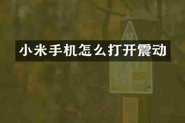 小米手机怎么打开震动