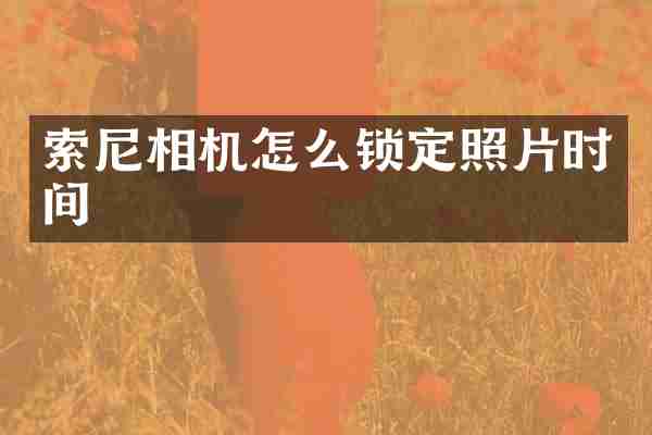 索尼相机怎么锁定照片时间