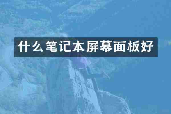 什么笔记本屏幕面板好