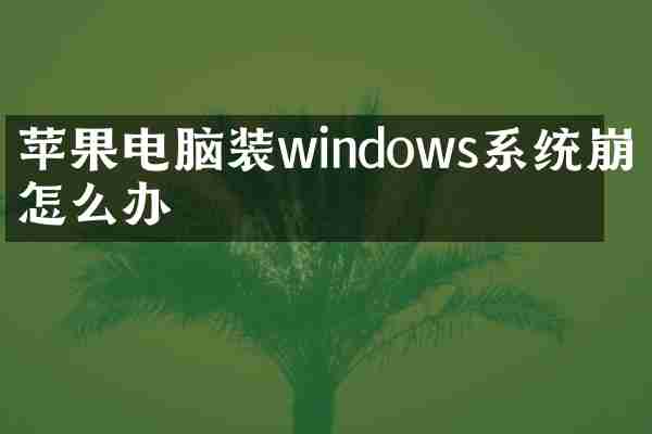 苹果电脑装windows系统崩溃怎么办