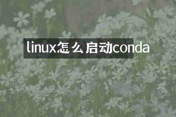linux怎么启动conda