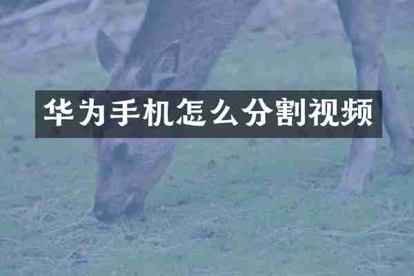 华为手机怎么分割视频