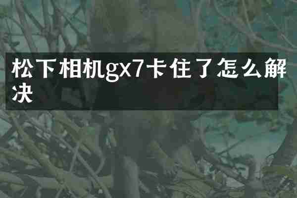 松下相机gx7卡住了怎么解决