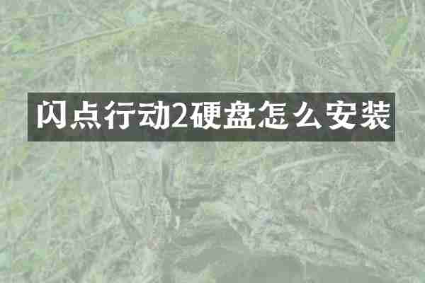 闪点行动2硬盘怎么安装