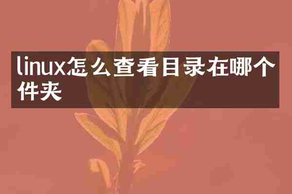 linux怎么查看目录在哪个文件夹