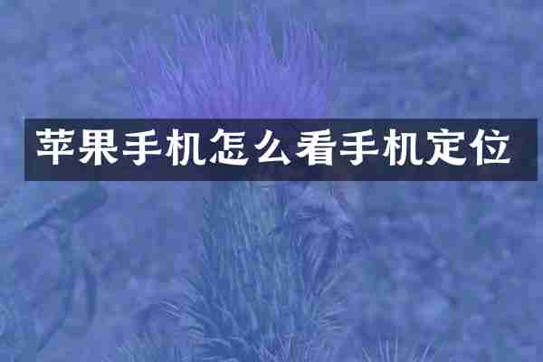 苹果手机怎么看手机定位