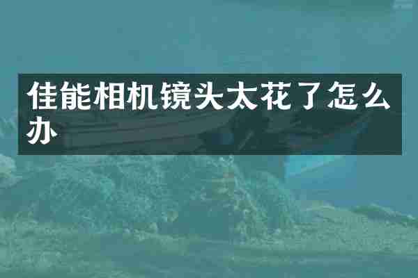 佳能相机镜头太花了怎么办