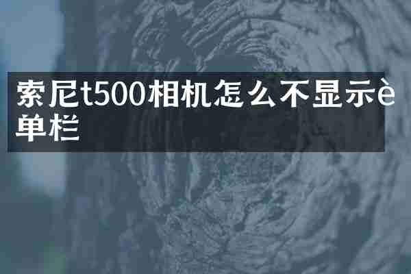 索尼t500相机怎么不显示菜单栏
