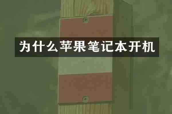 为什么苹果笔记本开机