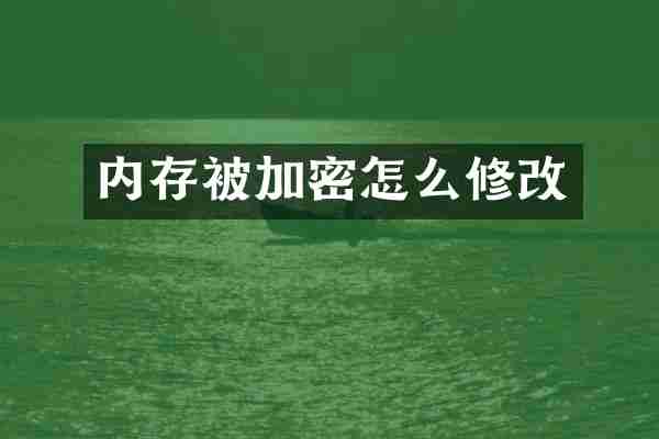 内存被加密怎么修改