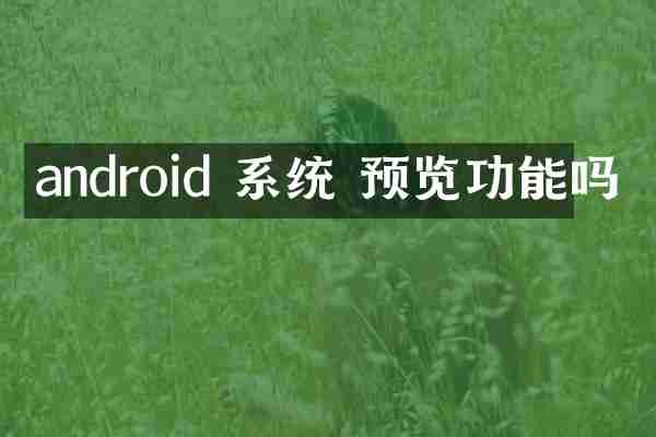 android 系统 预览功能吗