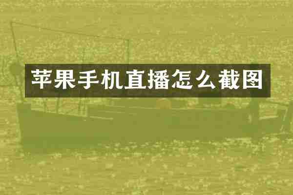 苹果手机直播怎么截图