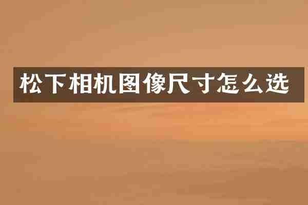 松下相机图像尺寸怎么选