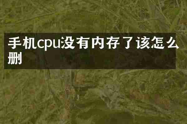 手机cpu没有内存了该怎么删