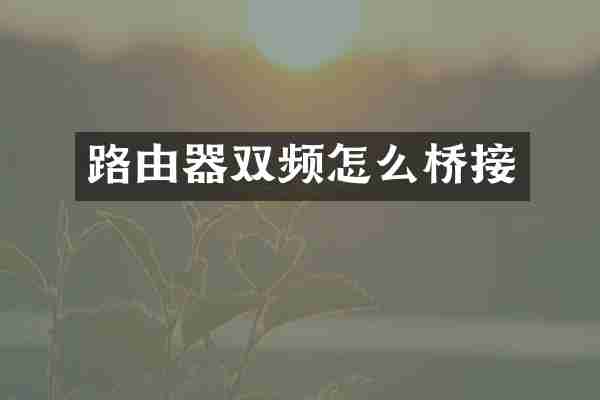 路由器双频怎么桥接