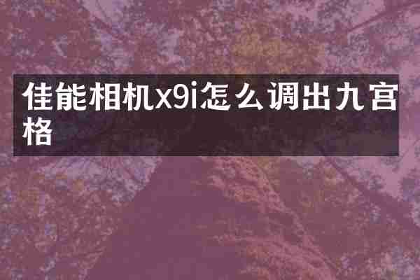 佳能相机x9i怎么调出九宫格