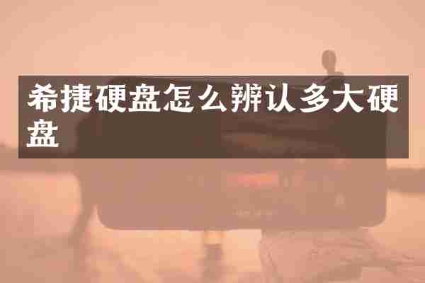 希捷硬盘怎么辨认多大硬盘