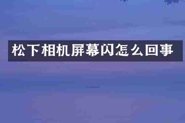 松下相机屏幕闪怎么回事