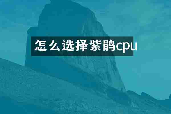 怎么选择紫鹃cpu