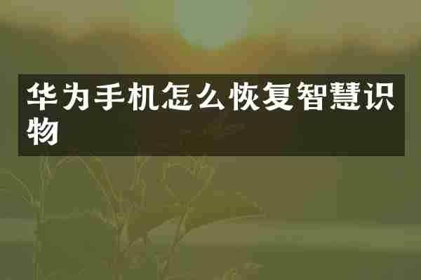 华为手机怎么恢复智慧识物