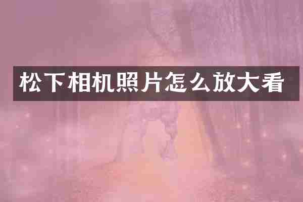 松下相机照片怎么放大看