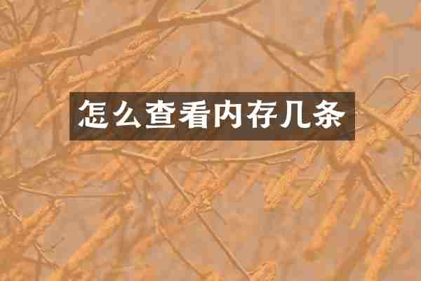 怎么查看内存几条