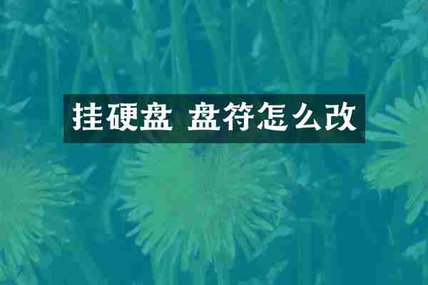 挂硬盘 盘符怎么改