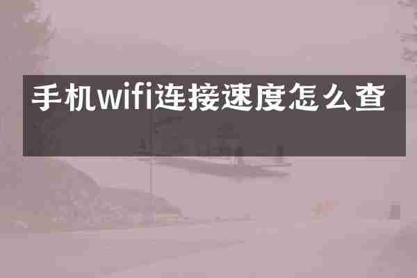 手机wifi连接速度怎么查看