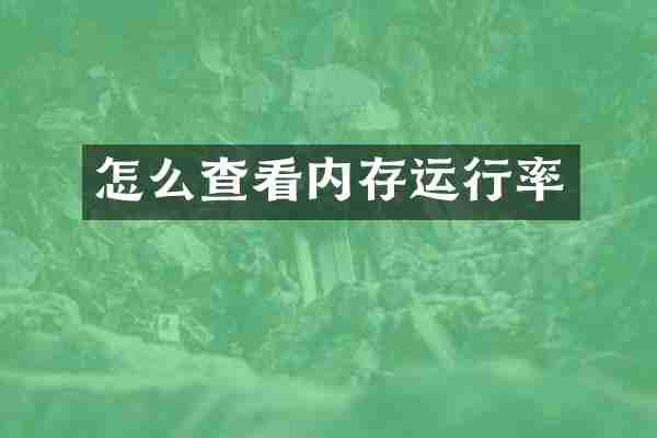 怎么查看内存运行率
