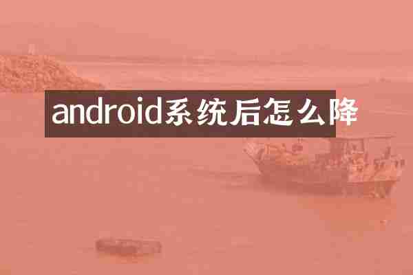 android系统后怎么降