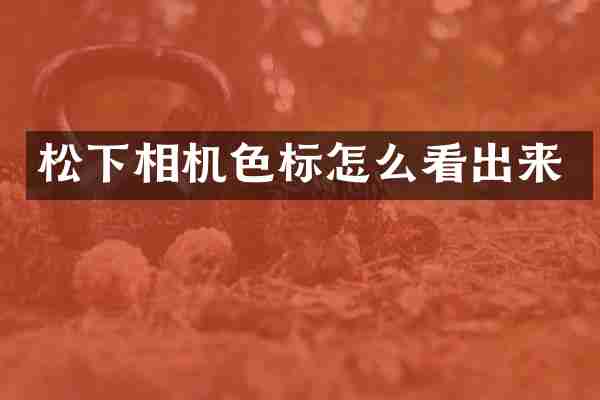 松下相机色标怎么看出来