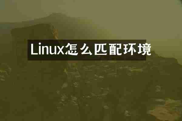 Linux怎么匹配环境