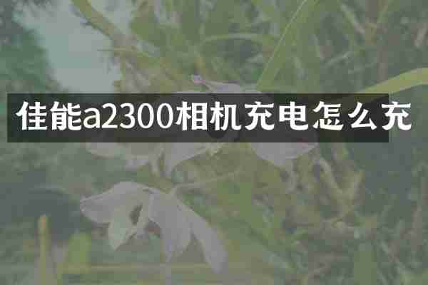 佳能a2300相机充电怎么充