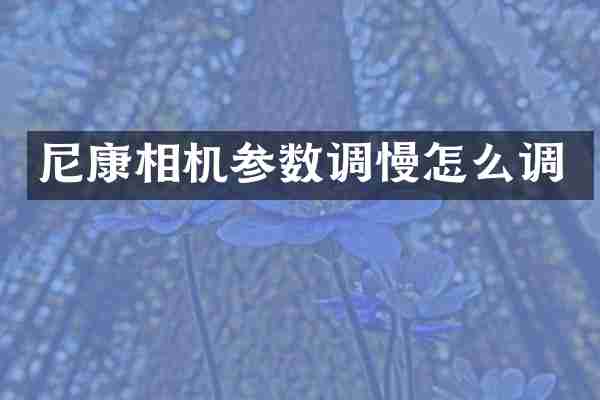 尼康相机参数调慢怎么调
