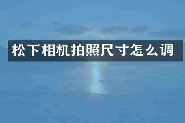 松下相机拍照尺寸怎么调