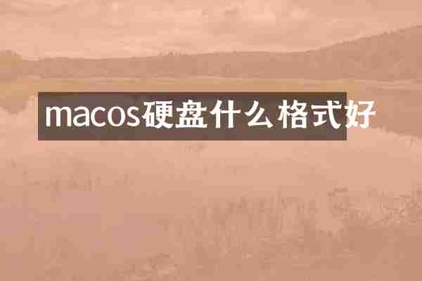macos硬盘什么格式好