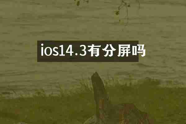 ios14.3有分屏吗