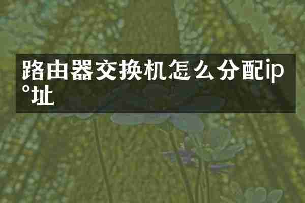 路由器交换机怎么分配ip地址