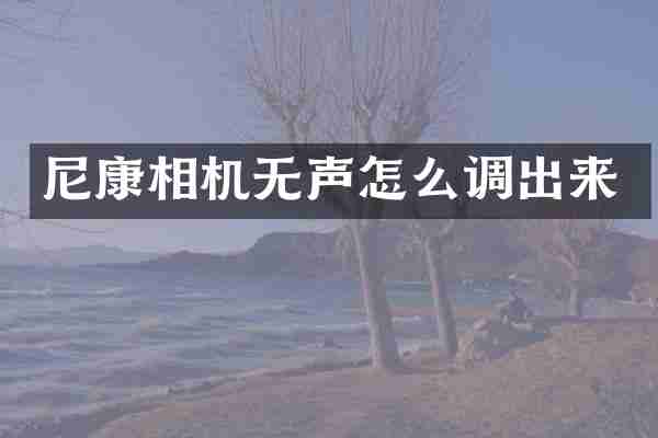 尼康相机无声怎么调出来