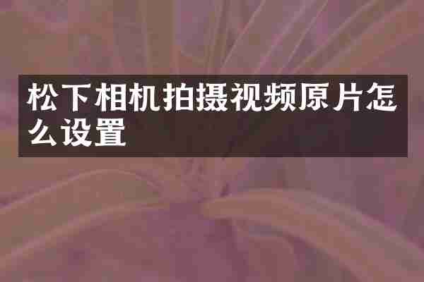 松下相机拍摄视频原片怎么设置