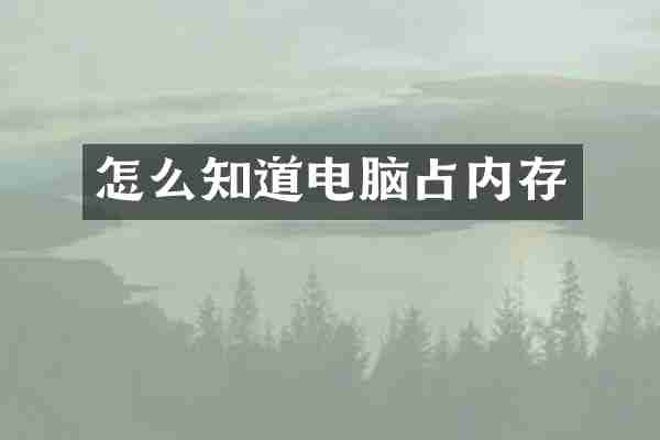 怎么知道电脑占内存