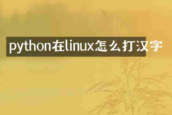 python在linux怎么打汉字