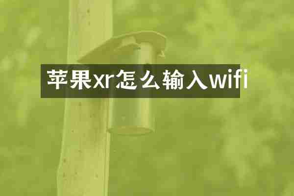 苹果xr怎么输入wifi